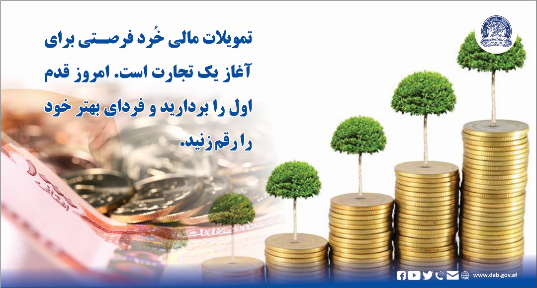 تمویلات مالی خرد فرصتی برای آغاز یک تجارت