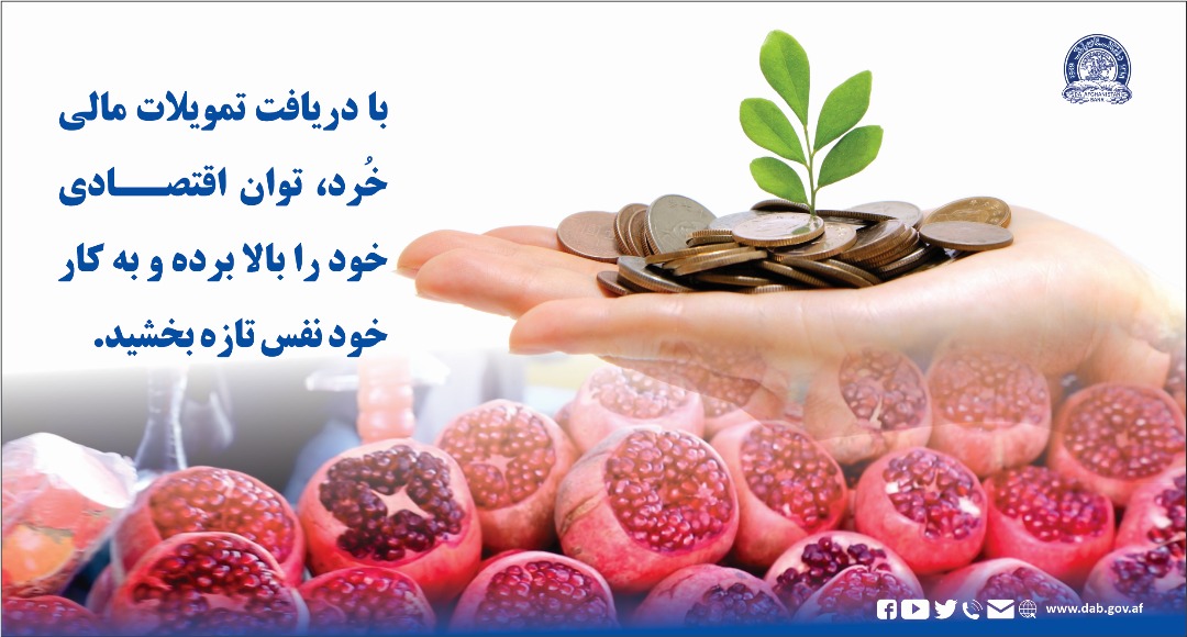 با دریافت تمویلات مالی خرد