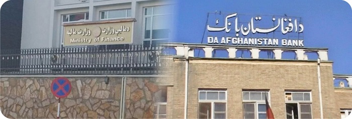 د مالیې وزارت د عوایدو او ګمرکونو له سیستمونو سره د بانکونو ترمنځ د اداینو د سیستم نښلیدل