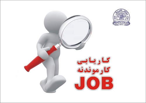 Job Title & Grade: Software Developer