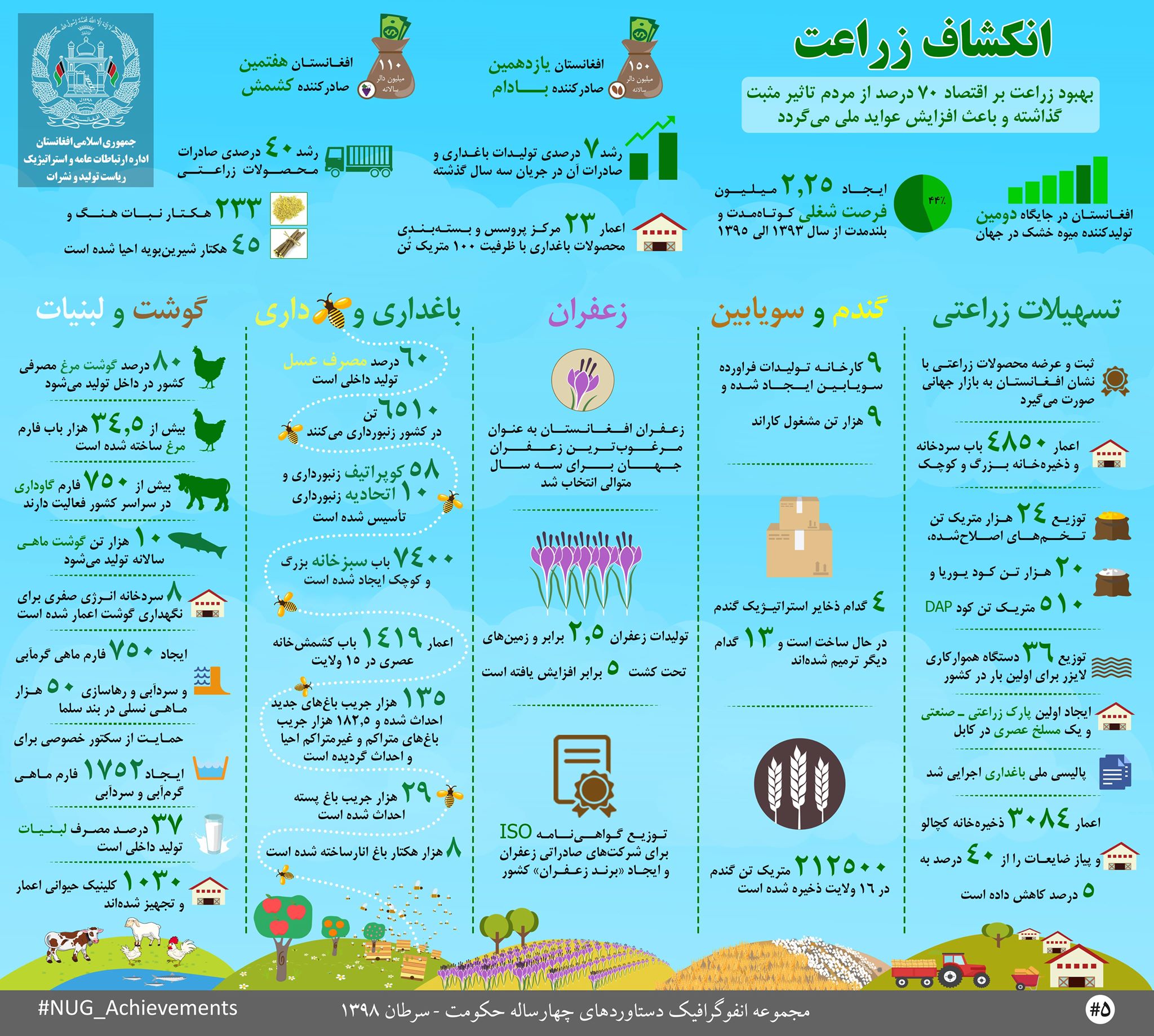 انفو گرافیک