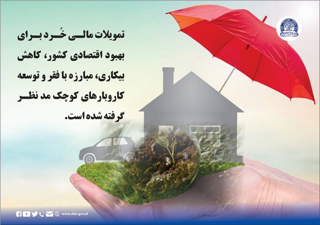 تمویلات مالی خرد برای بهبود اقتصادی کشور