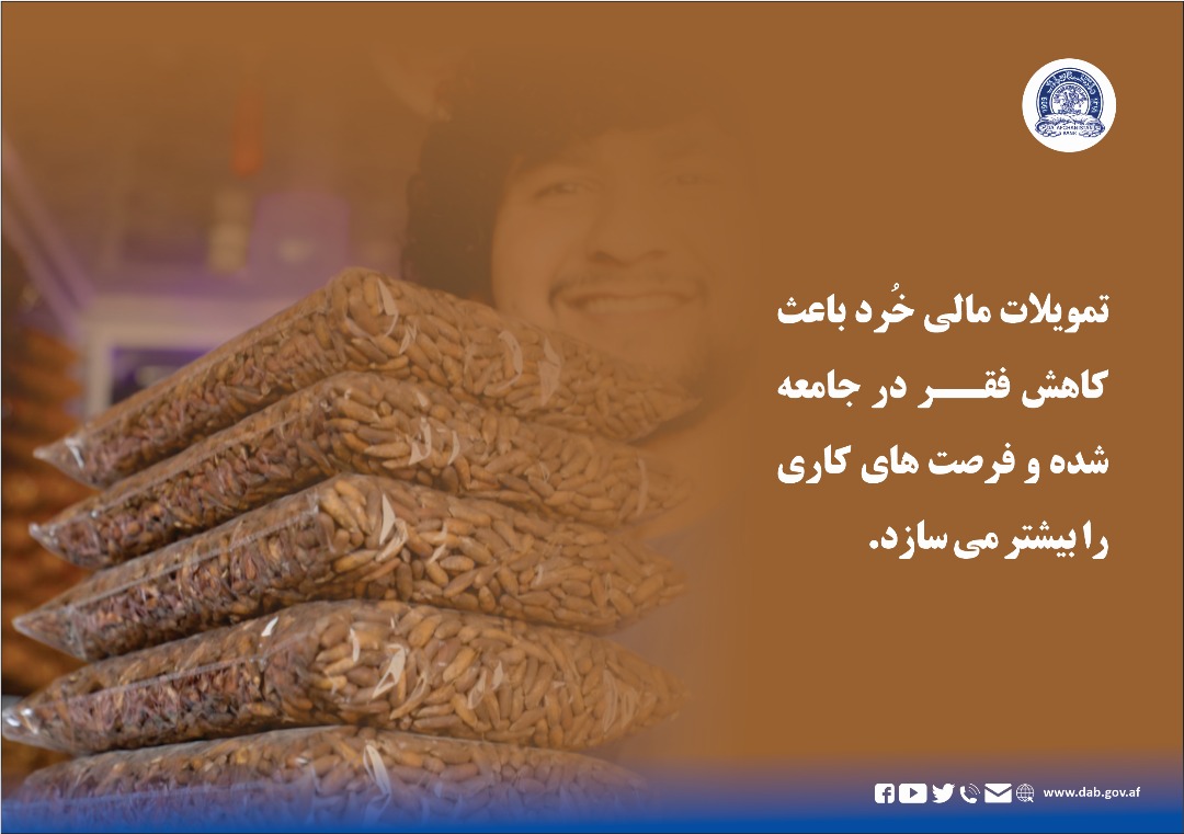 تمویلات مالی خُرد باعث کاهش فقر در جامعه شده و فرصت هاس کاری را بیشتر می سازد.