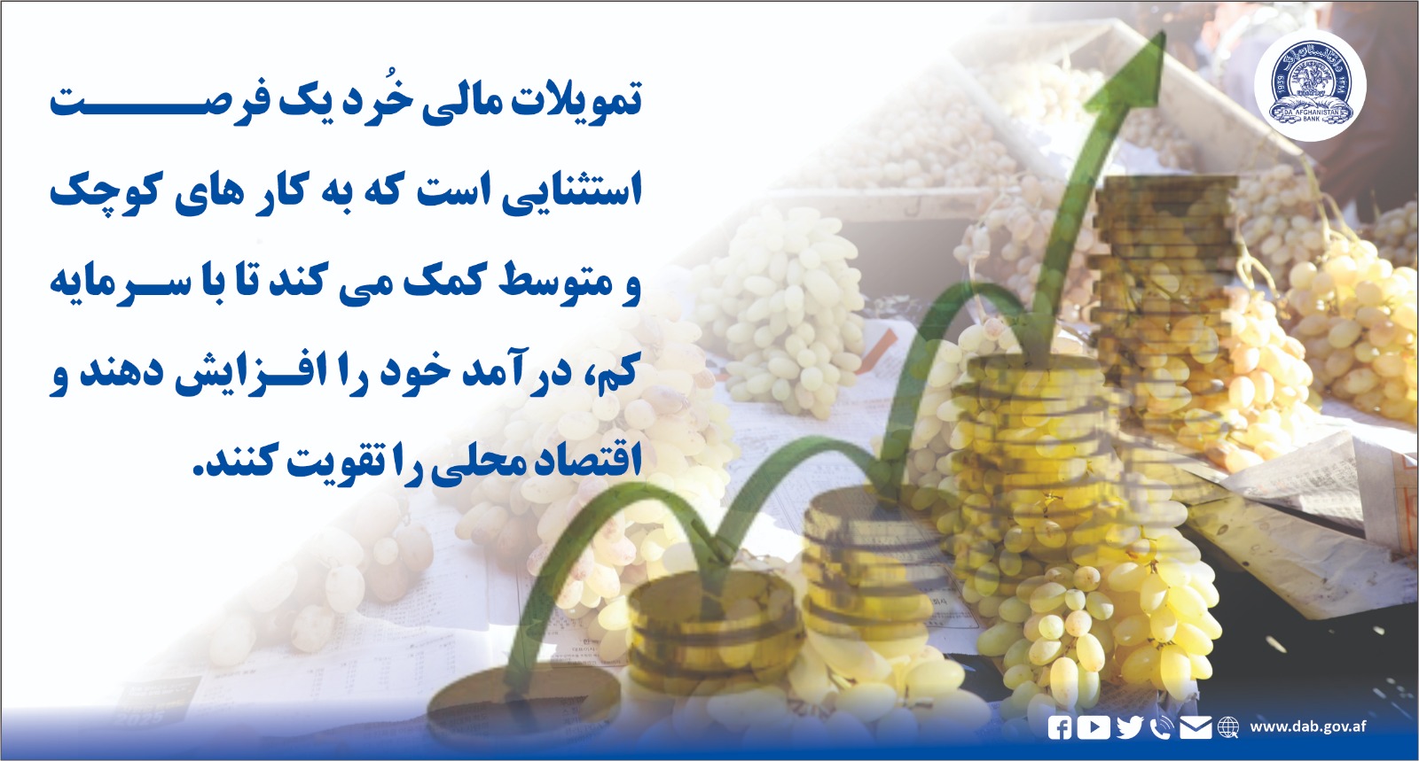 تمویلات مالی خرد یک فرصت استثنایی است
