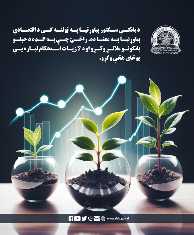 د بانکي سکتور پیاوړتیا په ټولنه کې د اقتصادي پیاوړتیا په معنا ده