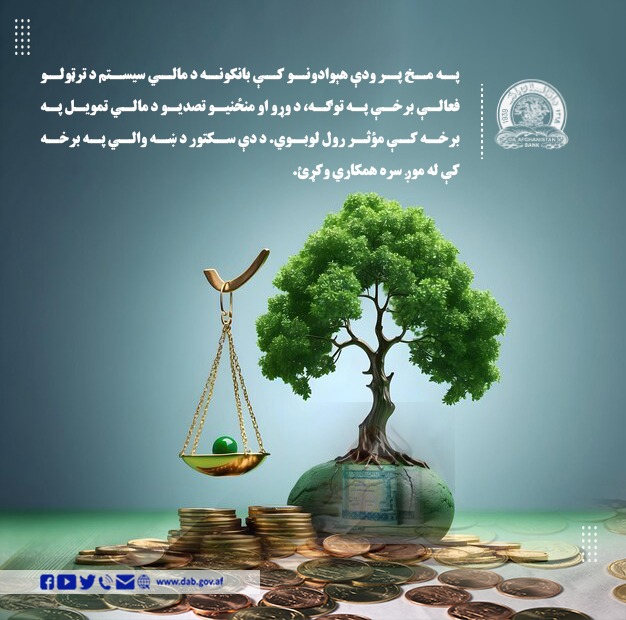 په مخ پر ودې هېواد ونو کې بانکونه د مالي سیستم د ترټولو فعالی برخې په توګه 