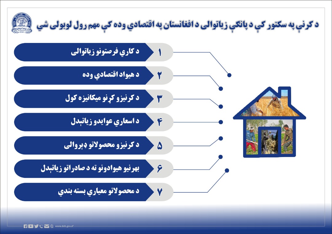 د کرنیوز سکتور