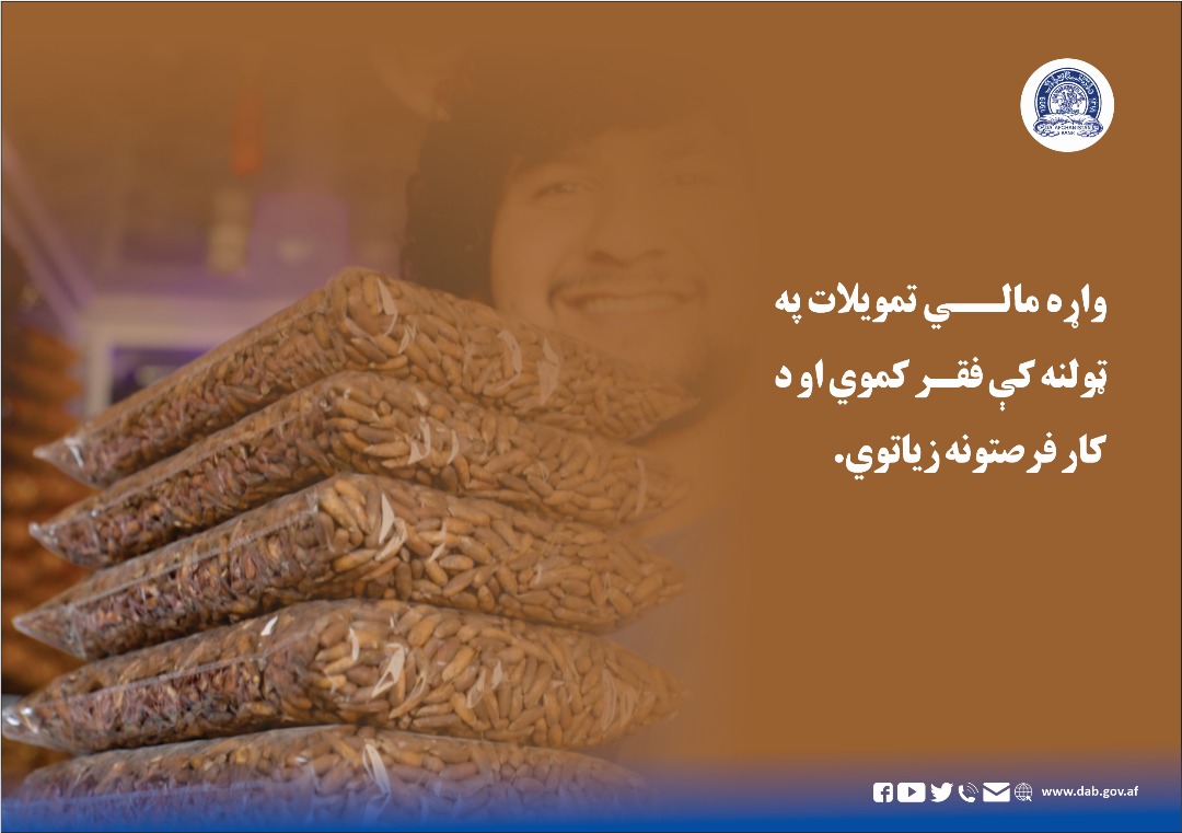 واړه مالي تمویلات په ټولنه کې فقر کموي او د کار فرصتونه زیاتوي