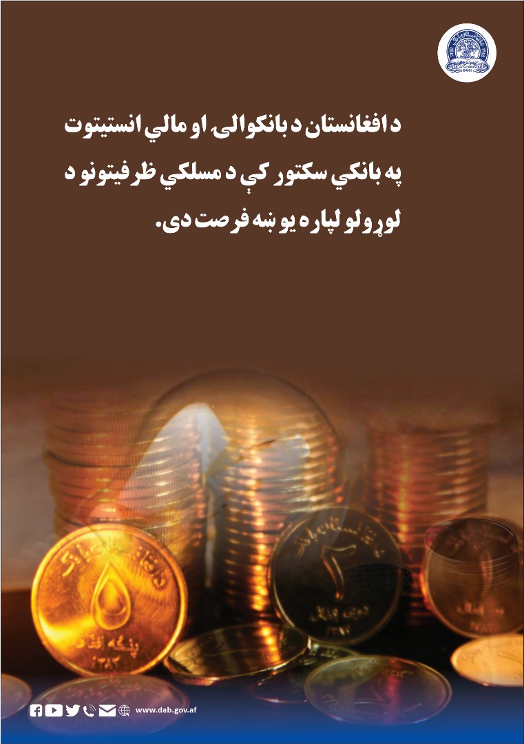 د افغانستان د بانکوالۍ او مالي انستیتوت په بانکي سکتور کې