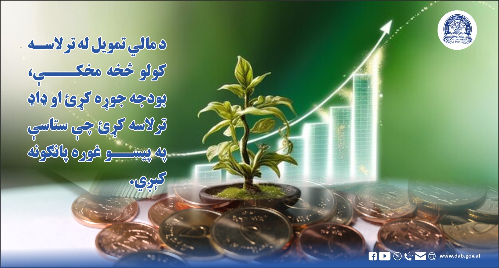 د مالي تمویل له ترلاسه کولو څخه مخکې، بودجه جوړه کړی